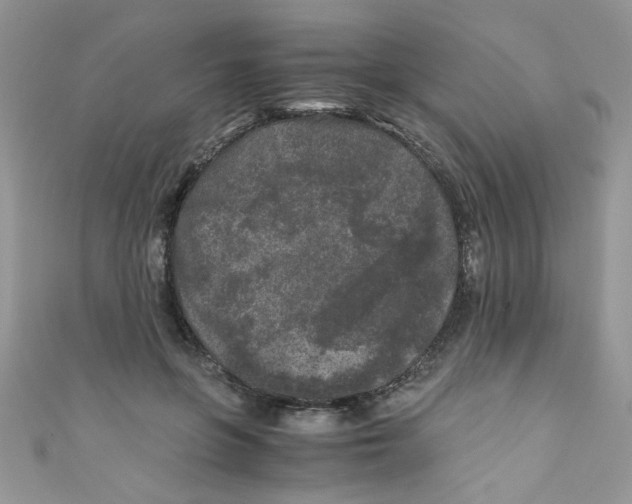 X0000111010551200907171837