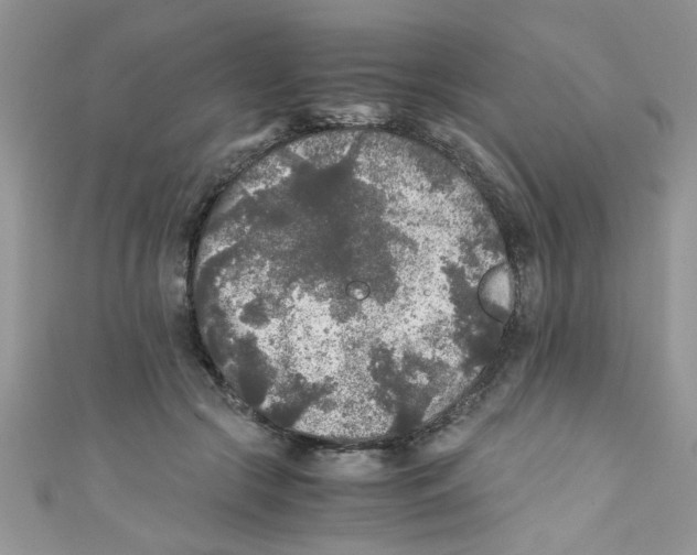 X0000111010553200907171837