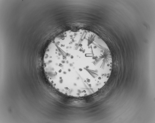 X0000111010555200907171837