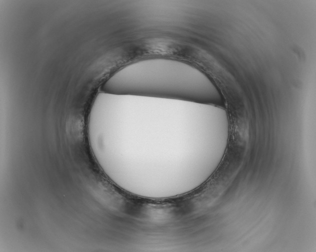 X0000111010556200907171837