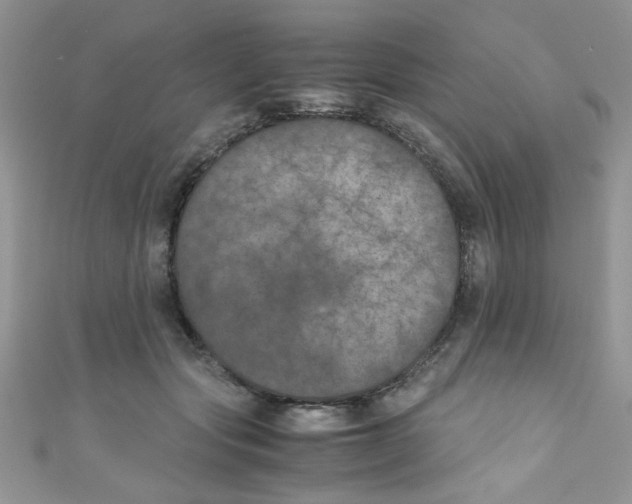 X0000111010557200907171837