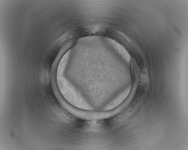 X0000111010558200907171837