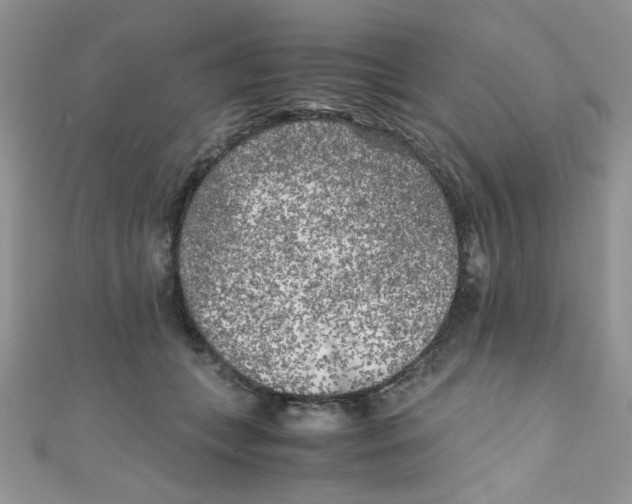 X0000111010559200907171837