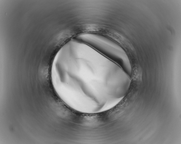 X0000111010560200907171837