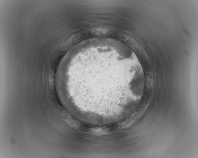 X0000111010561200907171837
