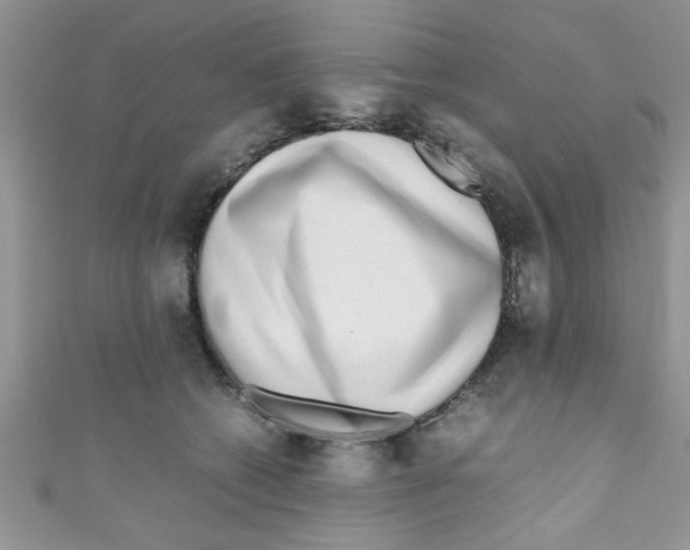 X0000111010562200907171837