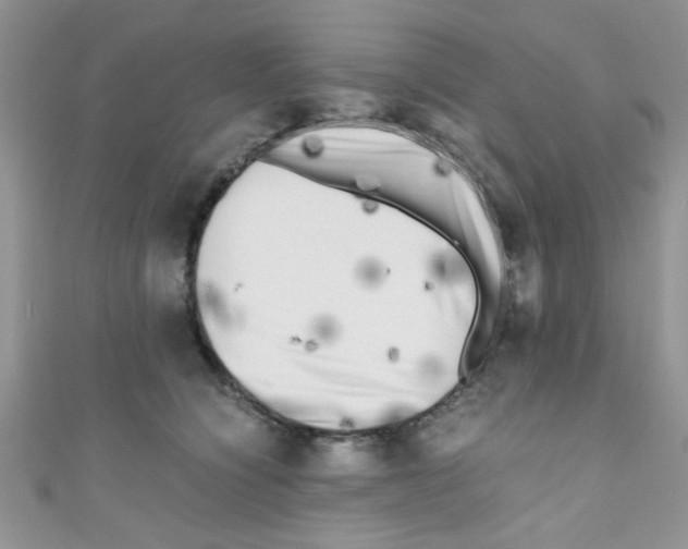X0000111010564200907171837