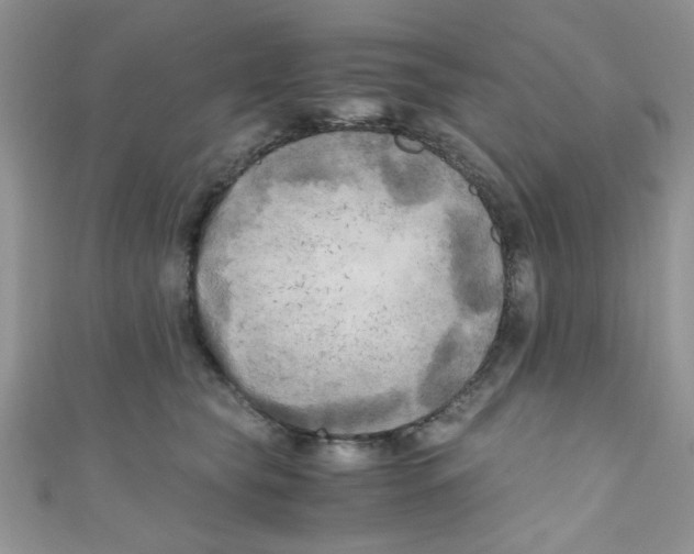 X0000111010565200907171837