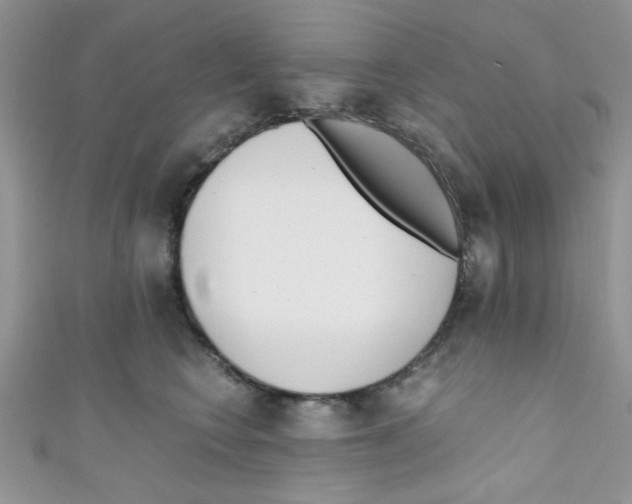 X0000111010566200907171837
