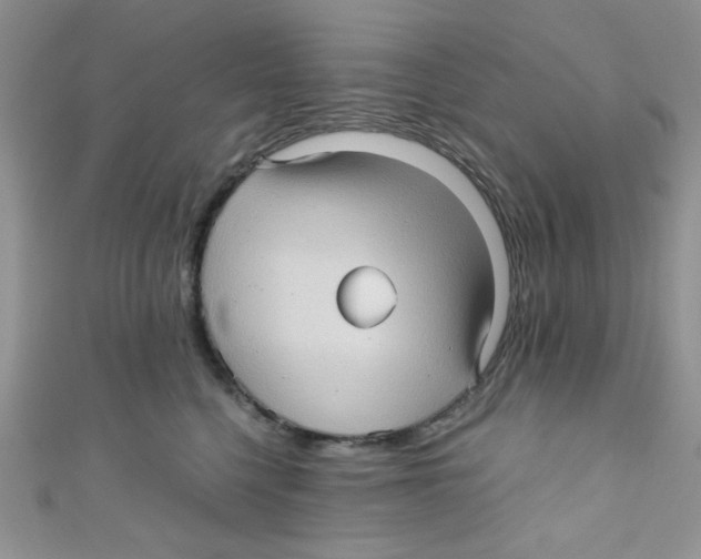X0000111010568200907171837