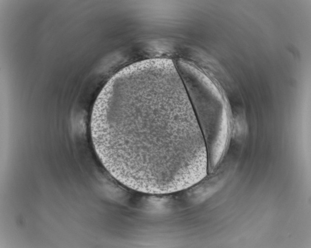X0000111010570200907171837