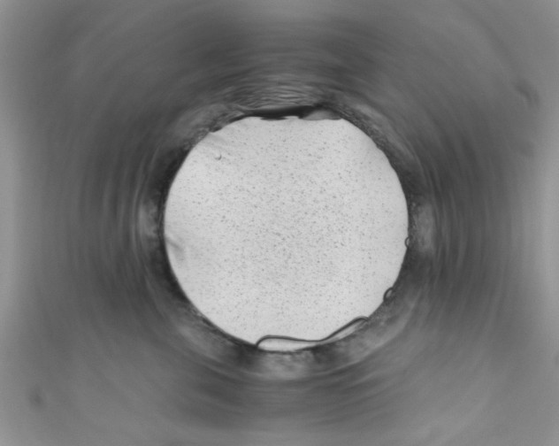X0000111010571200907171837