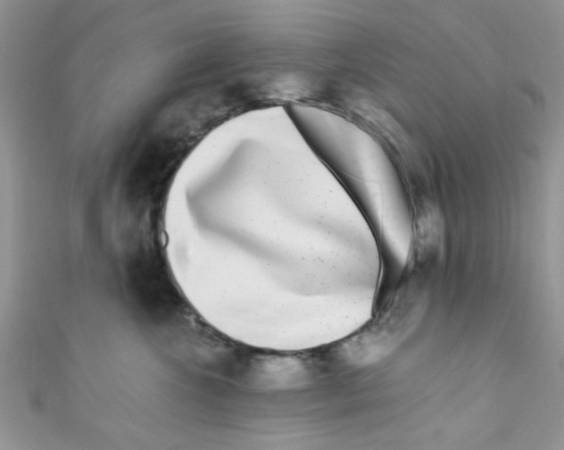 X0000111010572200907171837