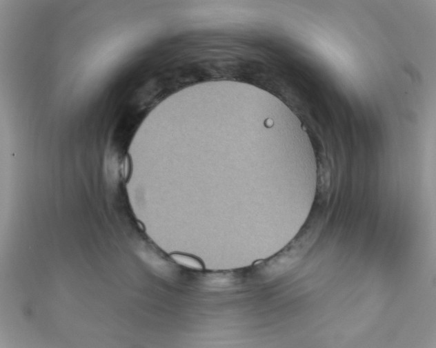 X0000111010574200907171837