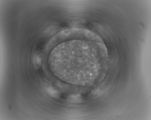X0000111010576200907171837