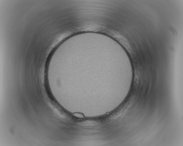 X0000111010578200907171836