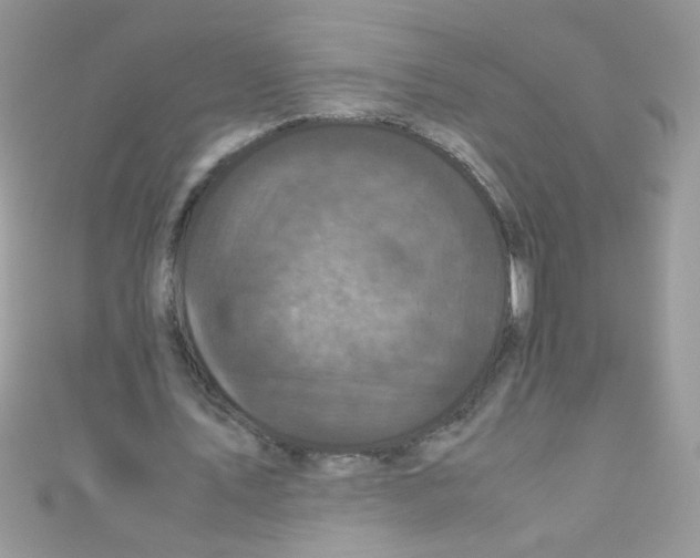 X0000111010579200907171836