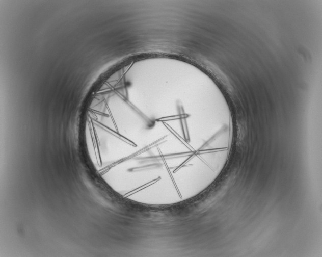 X0000111010580200907171836