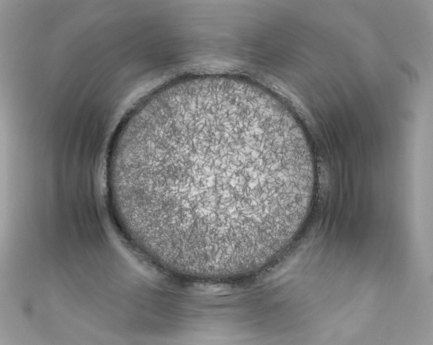X0000111010582200907171836