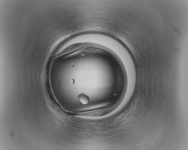 X0000111010583200907171836