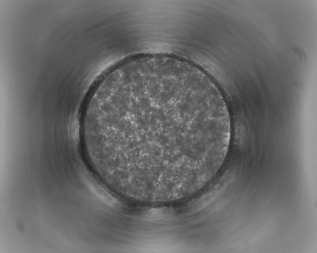 X0000111010584200907171836