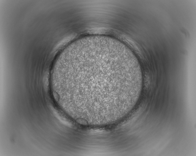 X0000111010586200907171836
