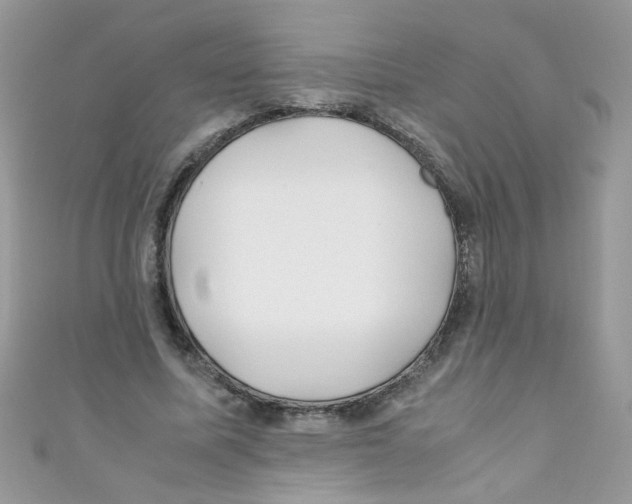 X0000111010587200907171836