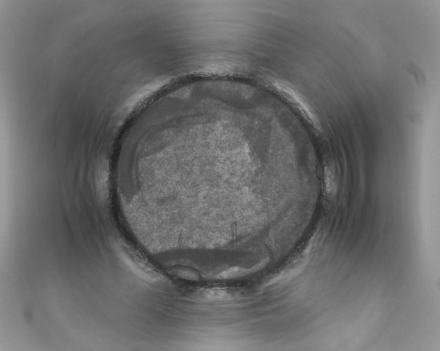 X0000111010588200907171836