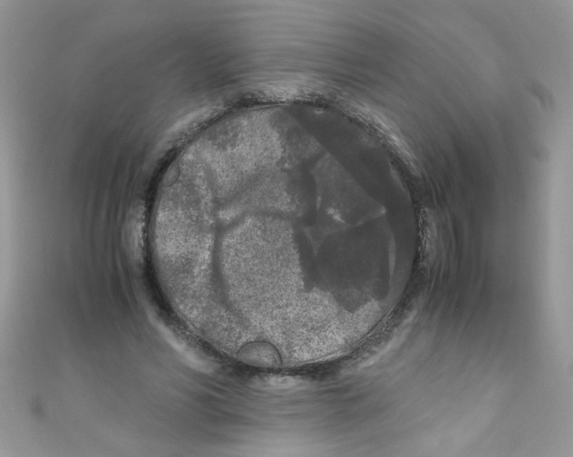 X0000111010590200907171836