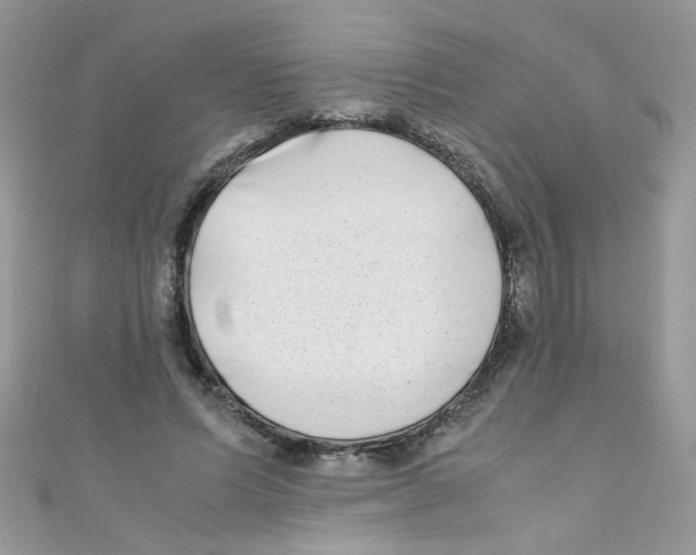 X0000111010591200907171836