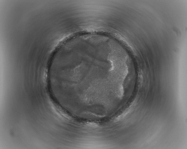 X0000111010592200907171836