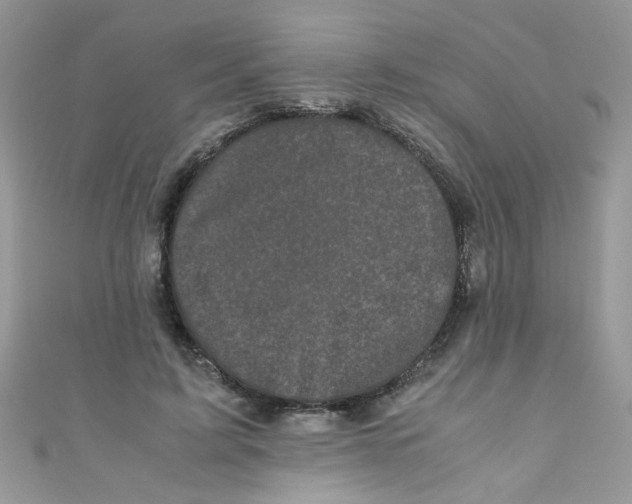 X0000111010595200907171836