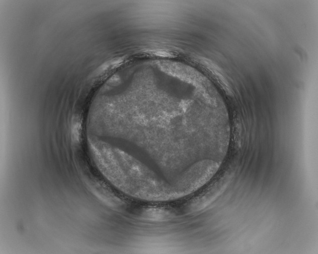 X0000111010596200907171836