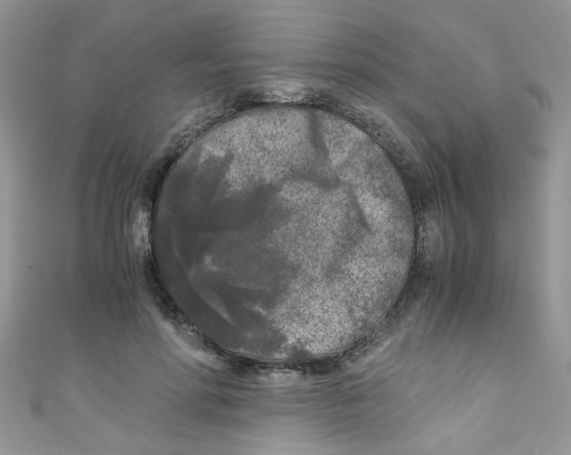 X0000111010598200907171836