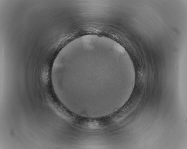 X0000111010600200907171836