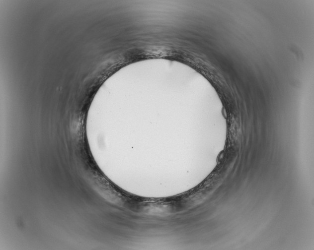 X0000111010601200907171836