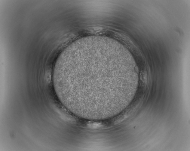 X0000111010602200907171836