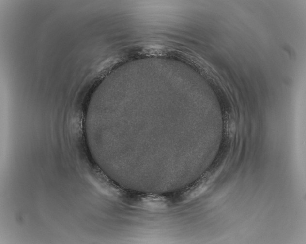 X0000111010603200907171836