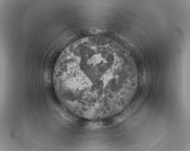 X0000111010606200907171836