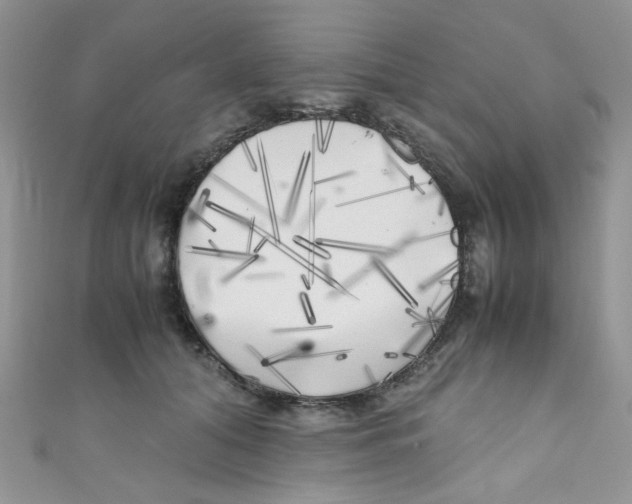 X0000111010608200907171836