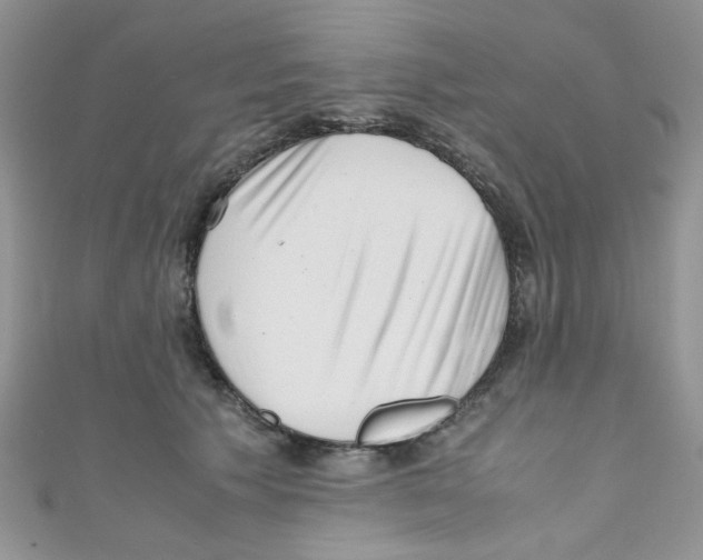 X0000111010609200907171836