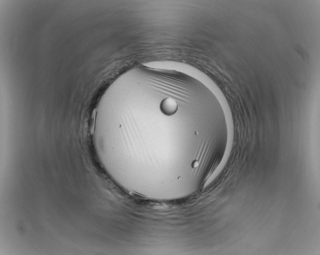 X0000111010611200907171836