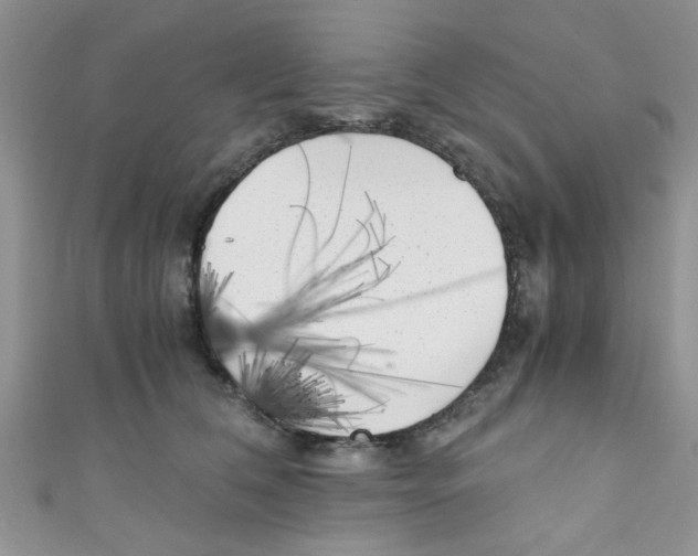 X0000111010612200907171836