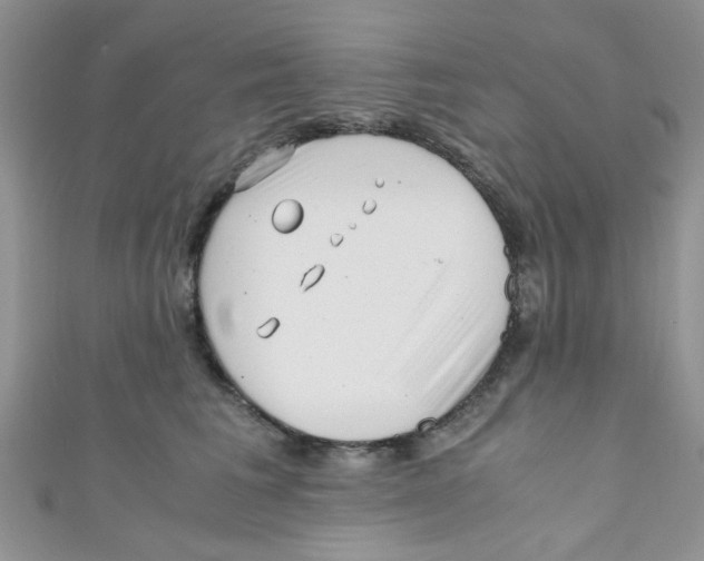 X0000111010613200907171836