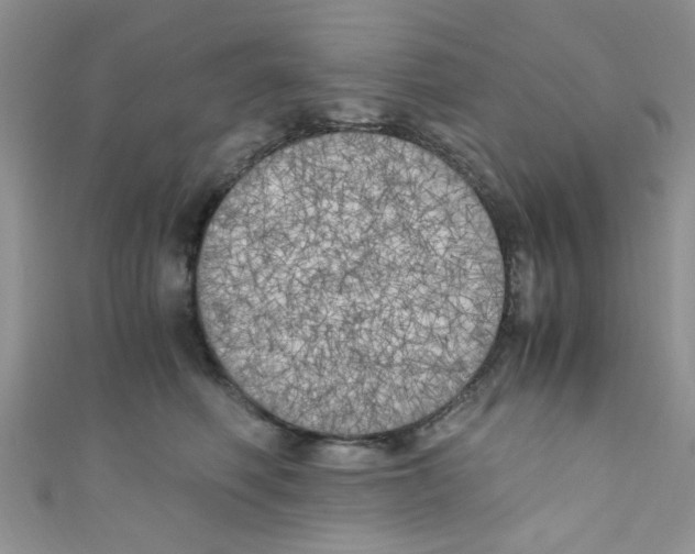 X0000111010614200907171836