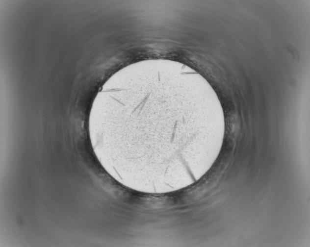 X0000111010615200907171836