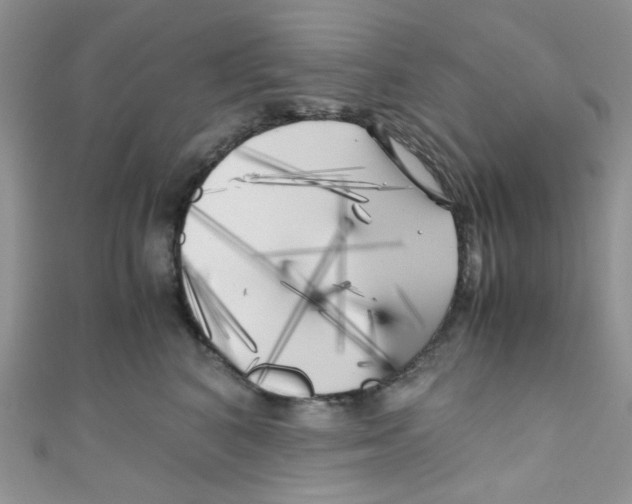 X0000111010616200907171836
