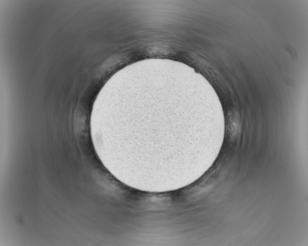 X0000111010619200907171836