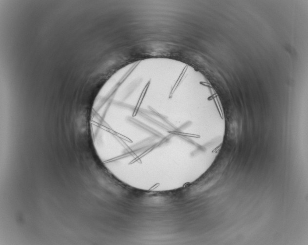 X0000111010620200907171836