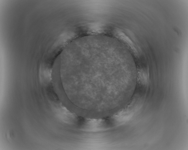 X0000111010621200907171836